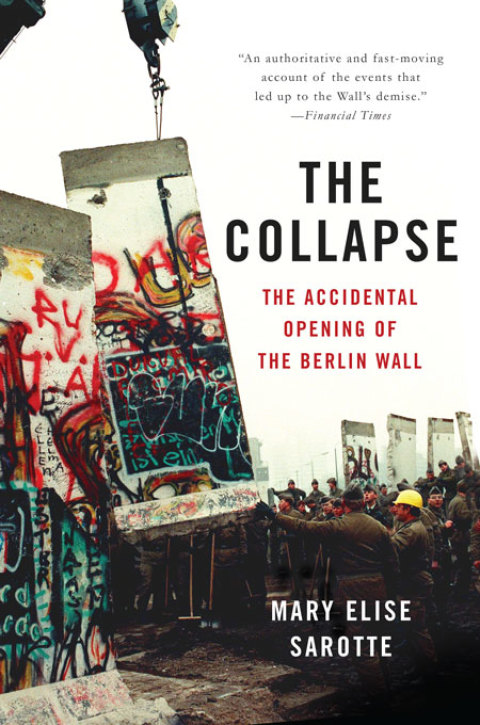 Cover image for book The Collapse