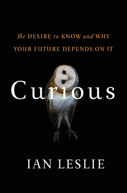 Cover image for book Curious