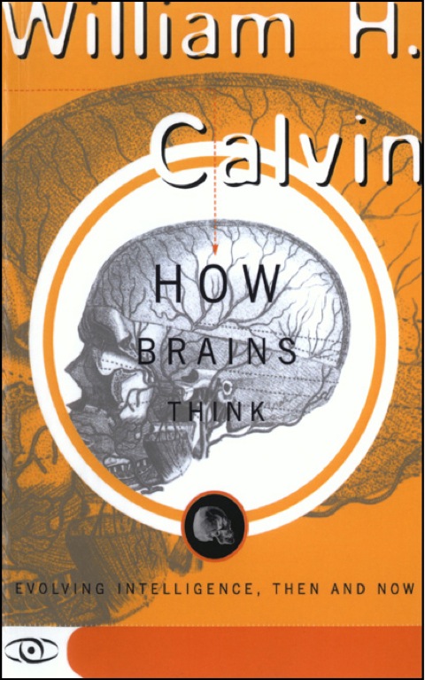 Cover image for book How Brains Think