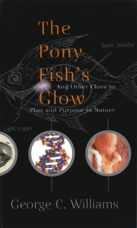 Cover image for book The Pony Fish's Glow