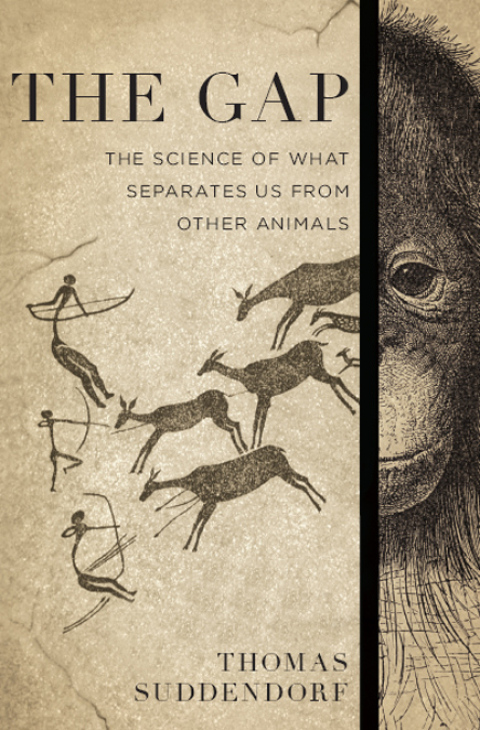 Cover image for book The Gap