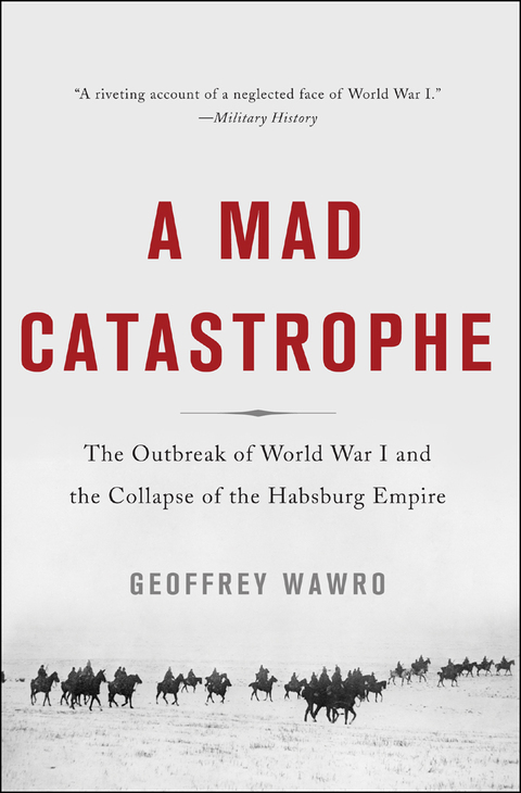 Cover image for book A Mad Catastrophe