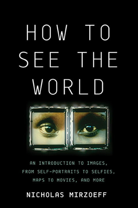 Cover image for book How to See the World
