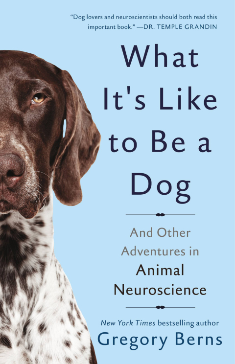Cover image for book What It's Like to Be a Dog