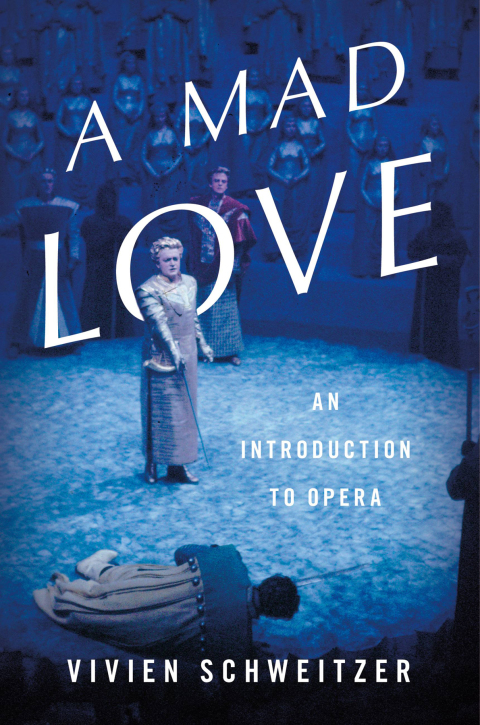 Cover image for book A Mad Love
