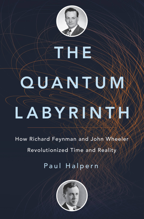Cover image for book The Quantum Labyrinth