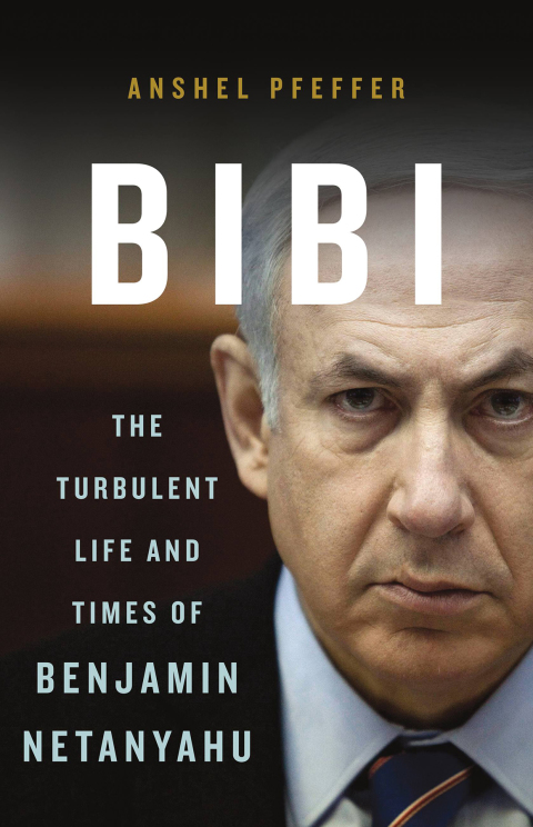 Cover image for book Bibi