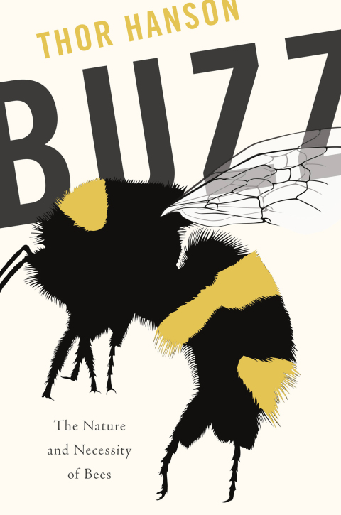 Cover image for book Buzz
