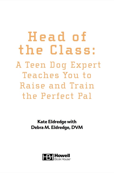 Cover image for book Head of the Class