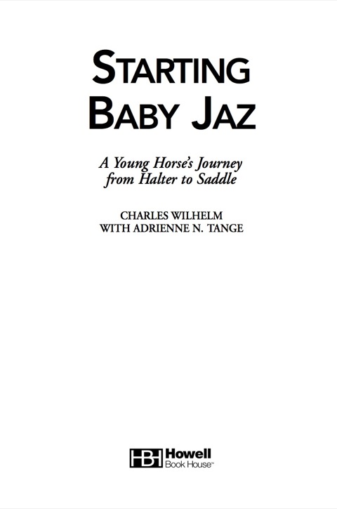 Cover image for book Starting Baby Jaz