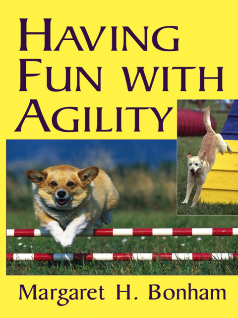 Cover image for book Having Fun With Agility