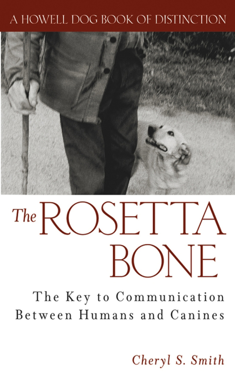 Cover image for book The Rosetta Bone