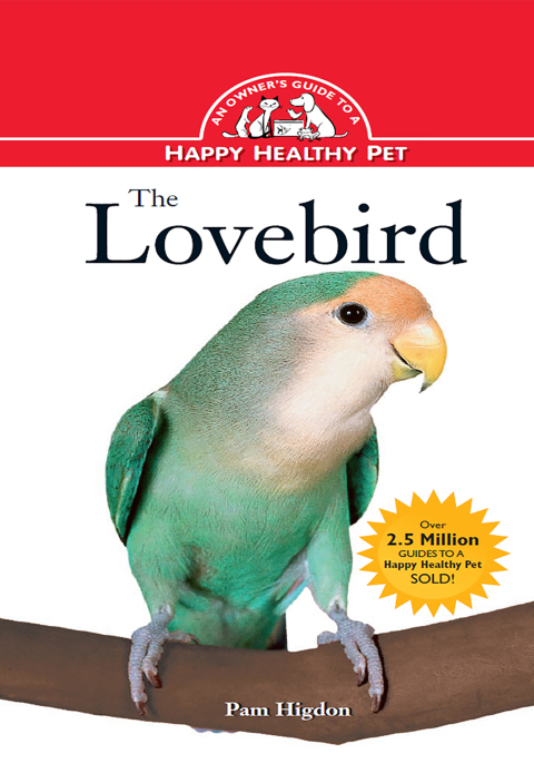 Cover image for book The Lovebird
