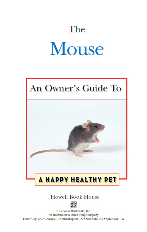 Cover image for book The Mouse