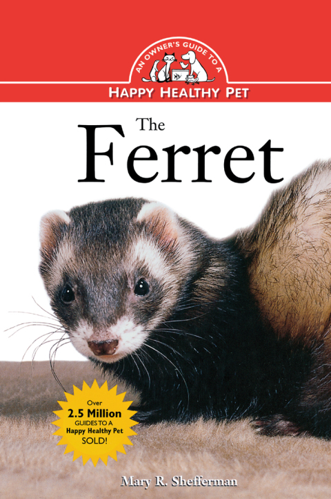 Cover image for book The Ferret