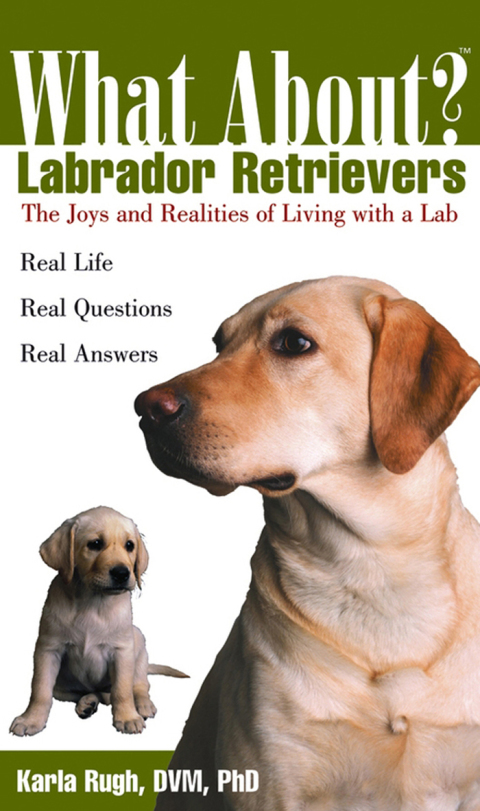 Cover image for book What About Labrador Retrievers?