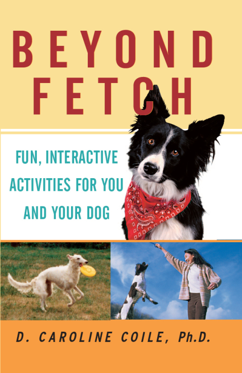Cover image for book Beyond Fetch