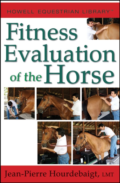 Cover image for book Fitness Evaluation of the Horse