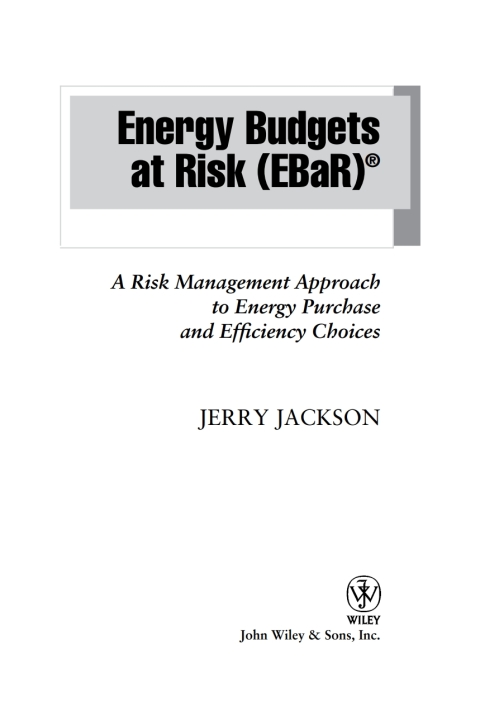Cover image for book Energy Budgets at Risk (EBaR)