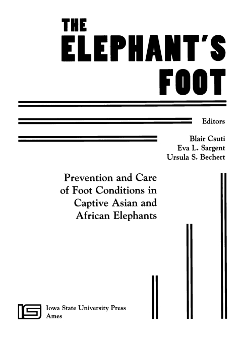 Cover image for book The Elephant's Foot