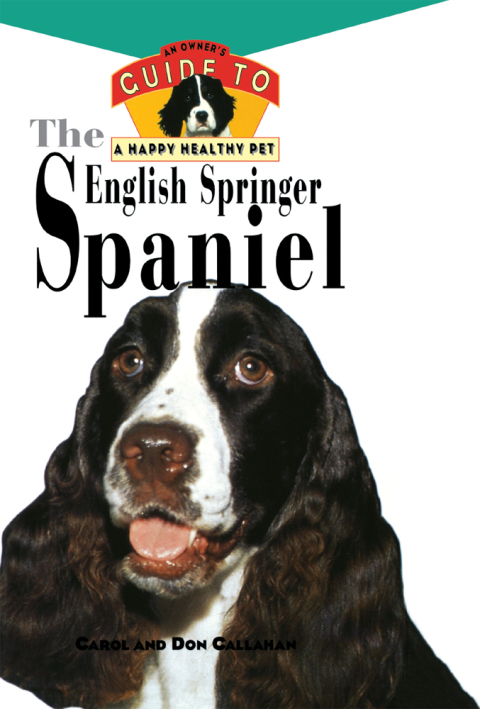 Cover image for book The English Springer Spaniel