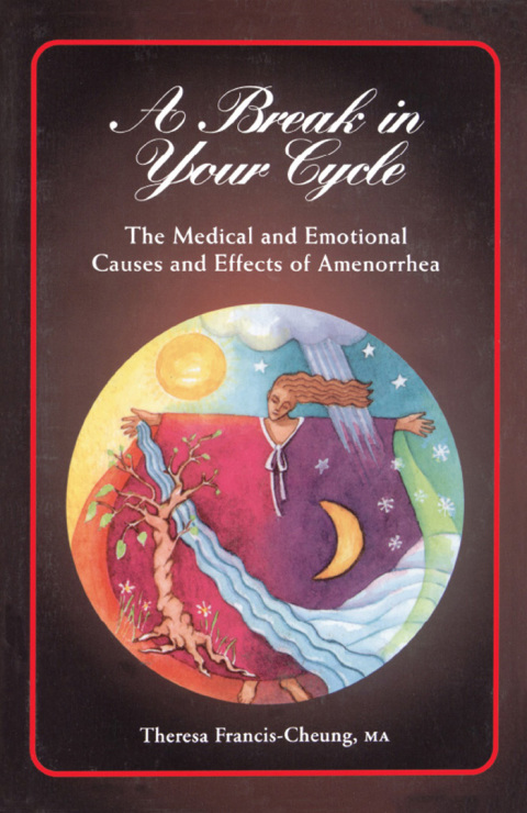 Cover image for book A Break in Your Cycle