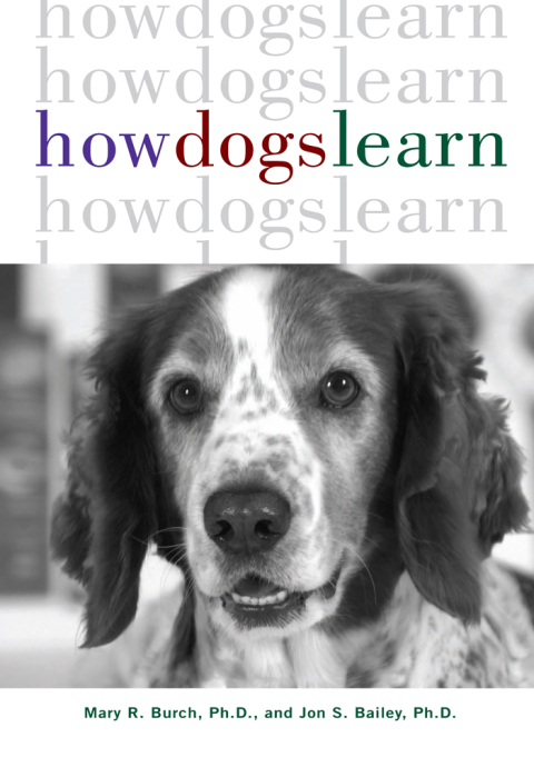 Cover image for book How Dogs Learn