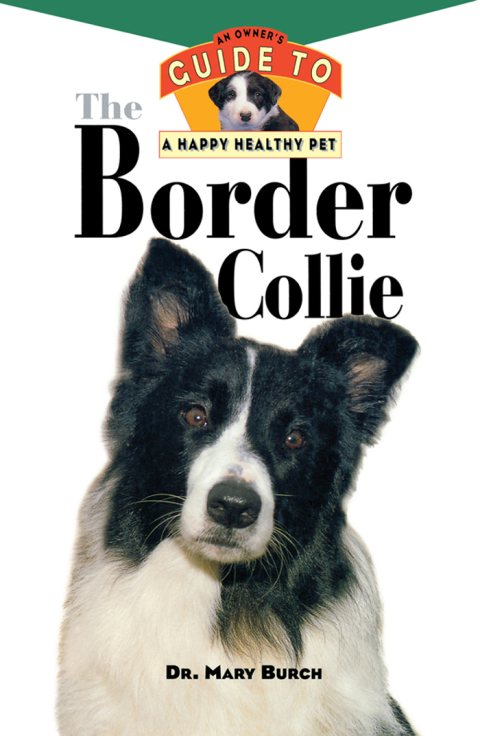 Cover image for book The Border Collie