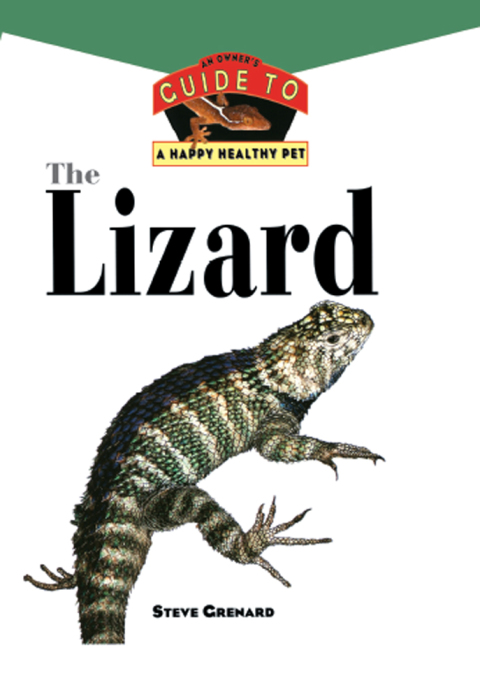 Cover image for book The Lizard