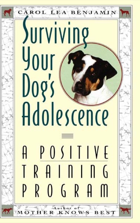 Cover image for book Surviving Your Dog's Adolescence