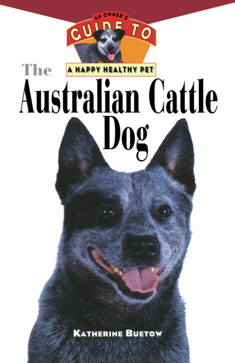 Cover image for book The Australian Cattle Dog