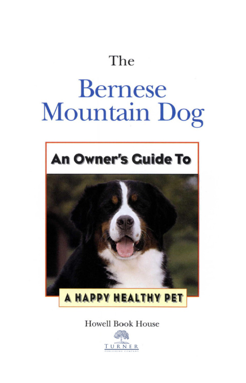 Cover image for book Bernese Mountain Dog