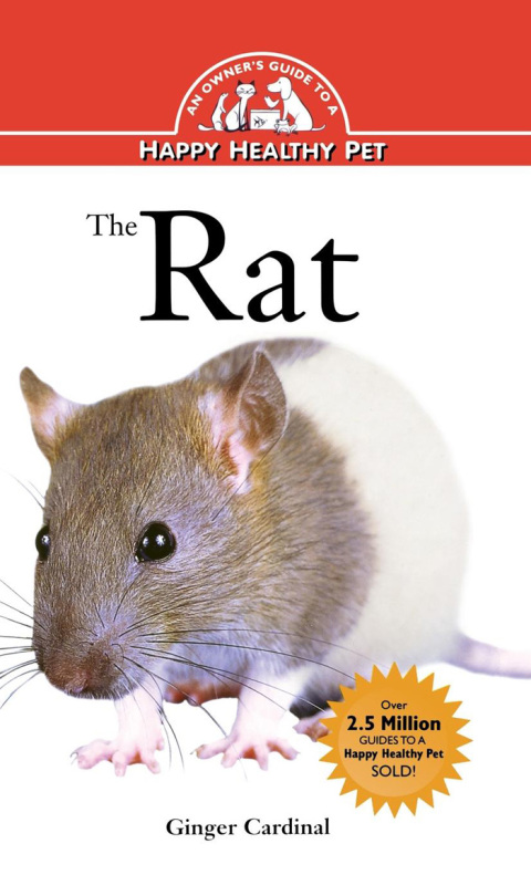Cover image for book The Rat