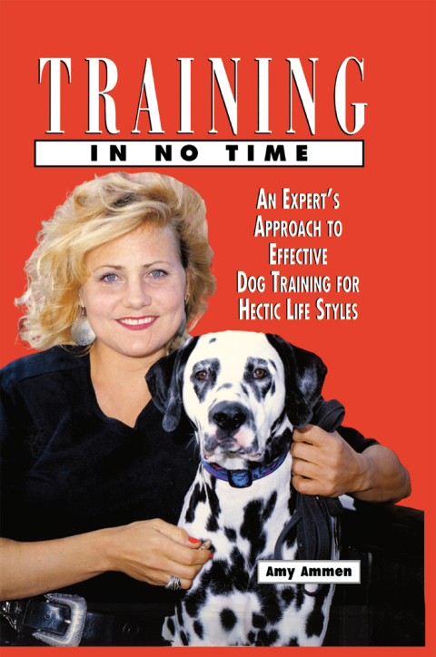 Cover image for book Training in No Time