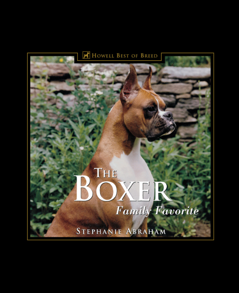 Cover image for book The Boxer