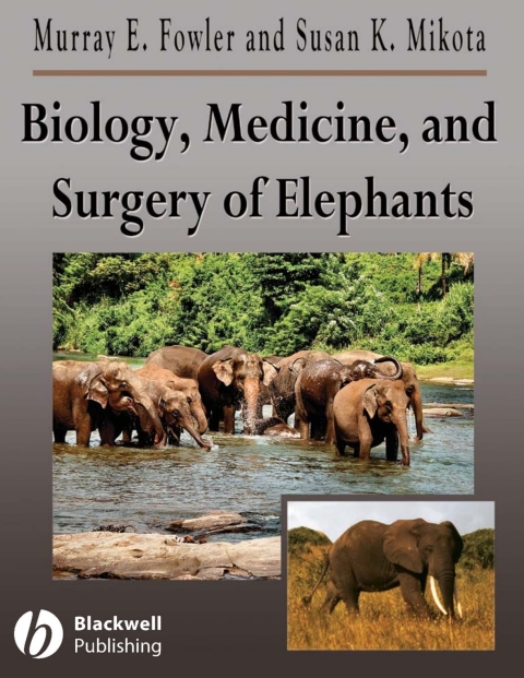Cover image for book Biology, Medicine, and Surgery of Elephants