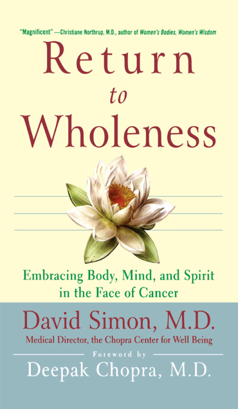 Cover image for book Return to Wholeness