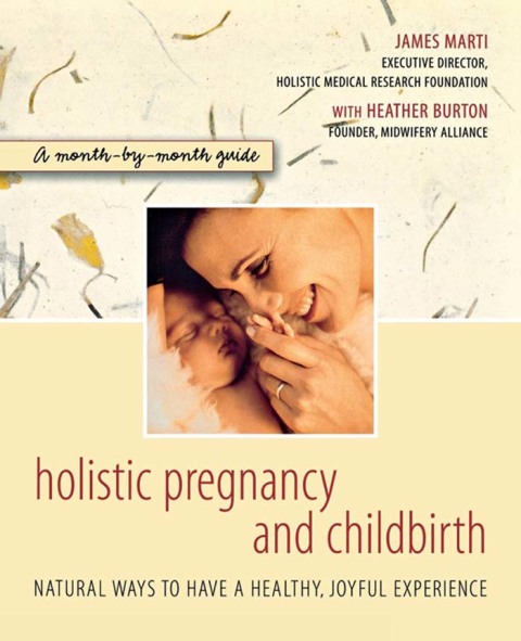 Cover image for book Holistic Pregnancy and Childbirth