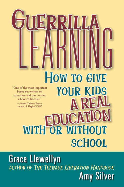 Cover image for book Guerrilla Learning