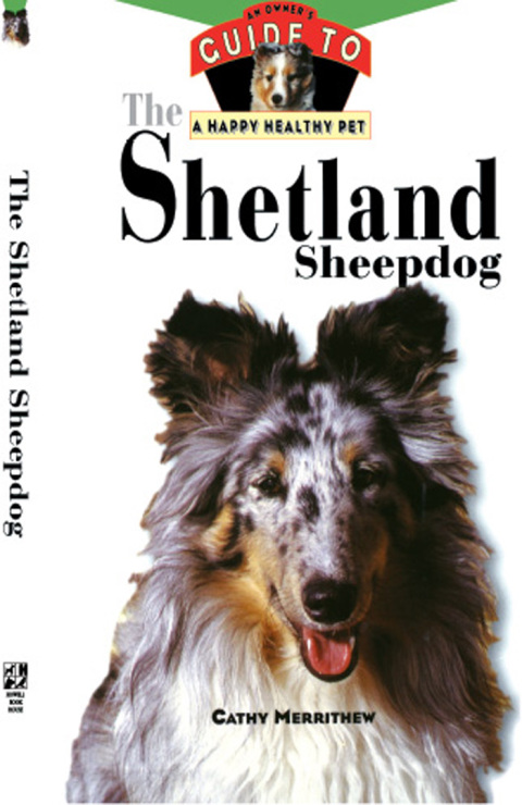 Cover image for book The Shetland Sheepdog