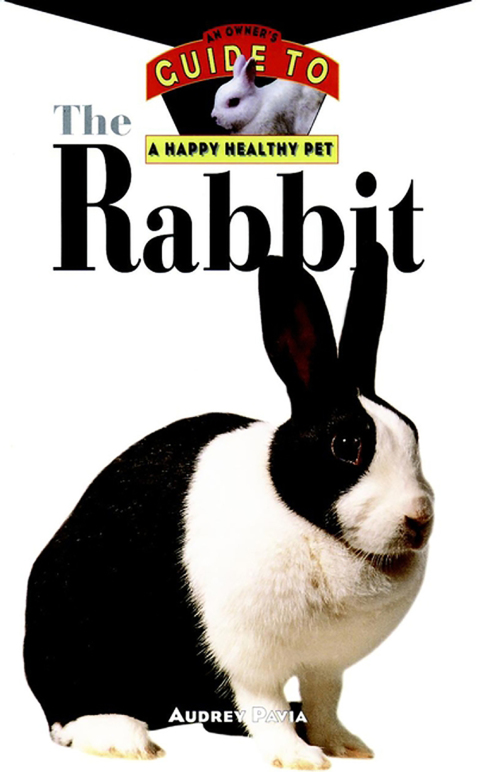 Cover image for book The Rabbit