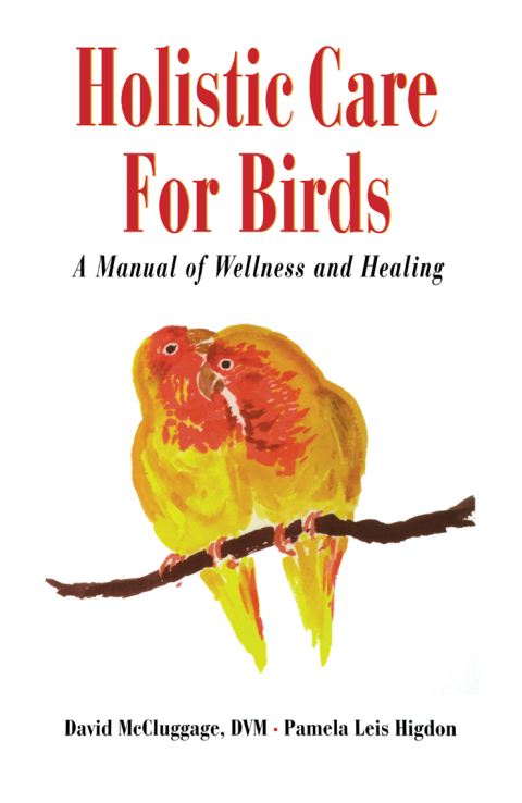 Cover image for book Holistic Care for Birds