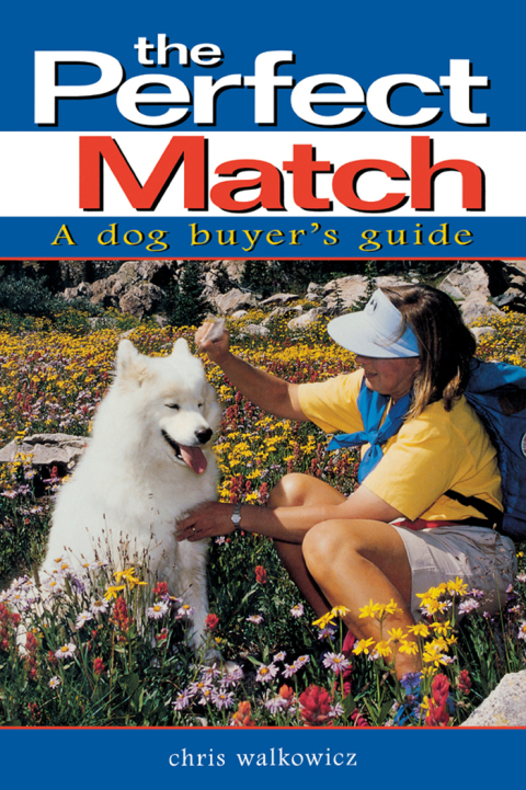 Cover image for book The Perfect Match