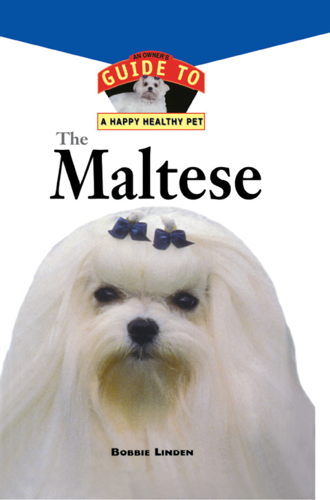 Cover image for book The Maltese