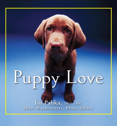 Cover image for book Puppy Love