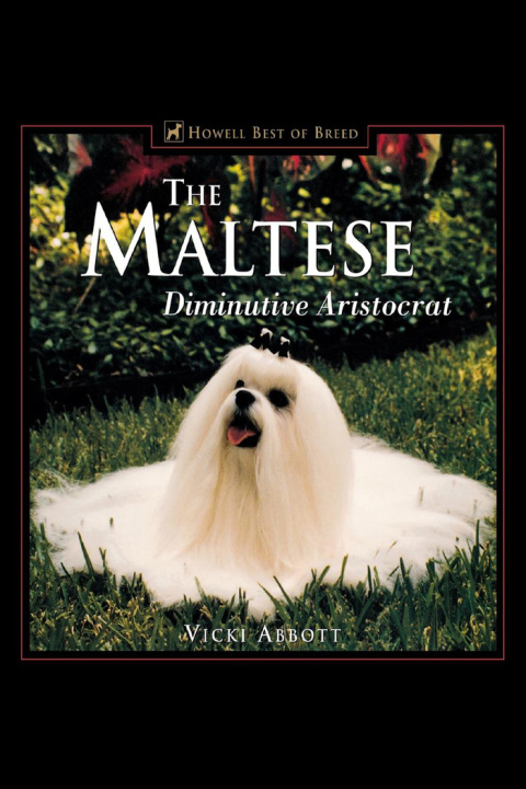 Cover image for book The Maltese