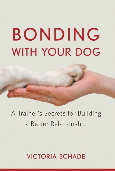Cover image for book Bonding with Your Dog