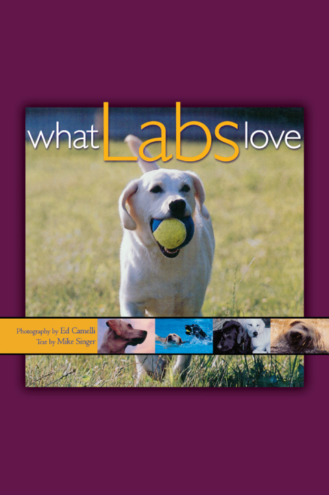 Cover image for book What Labs Love