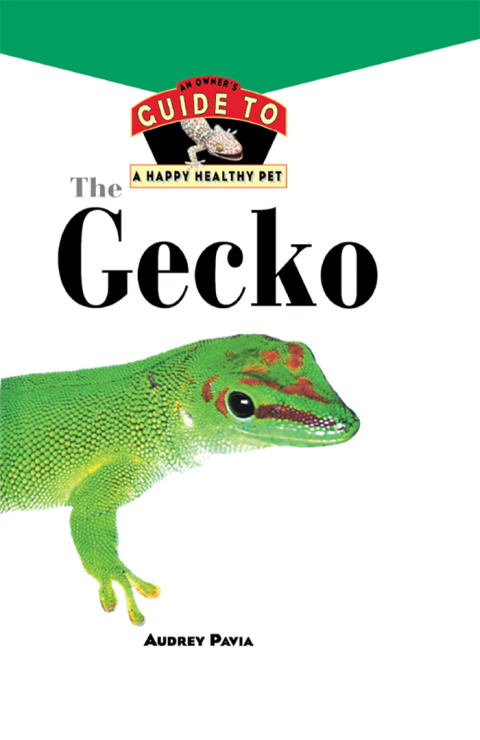Cover image for book The Gecko