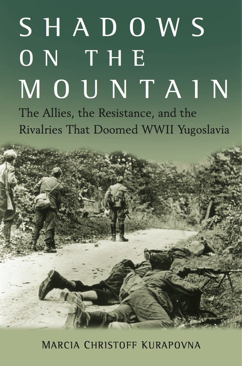 Cover image for book Shadows on the Mountain